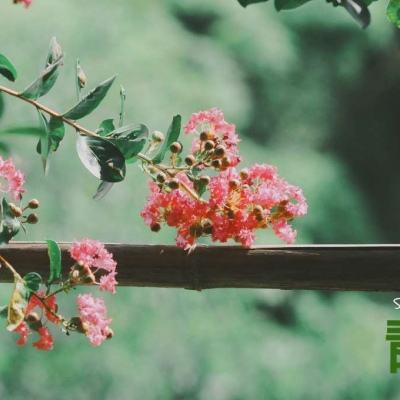 kaiyun·开云app下载截图