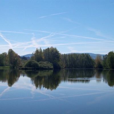 凯发K8官网入口