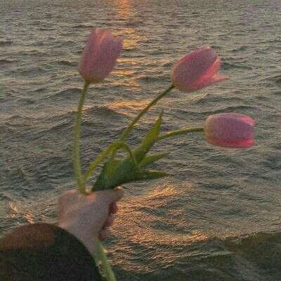 kaiyun·开云app下载