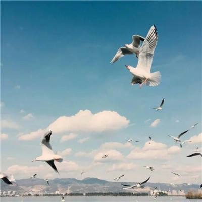 博鱼·(boyu)体育官方网站