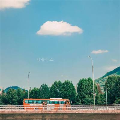 澳门天天免费资料大全下载下载手机版