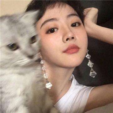 澳门天天免费资料大全下载下载手机版