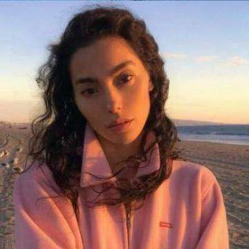 澳门天天免费资料大全下载下载手机版